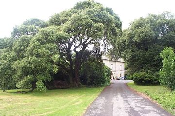 Scolton Manor Museum