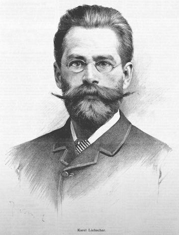 Karl Liebscher