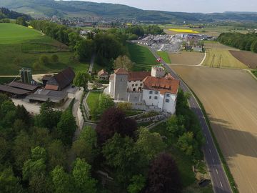 Wildenstein Castle