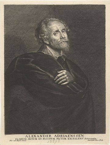 Alexander Adriaenssen