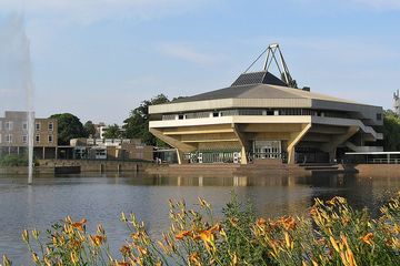 Université d'York