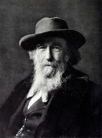 Walter M. Brackett