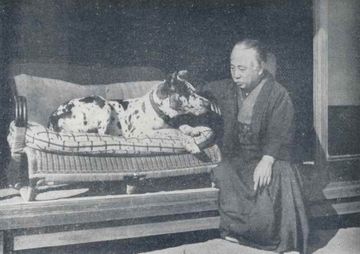 Hashimoto Kansetsu