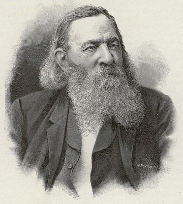 David Arnesen