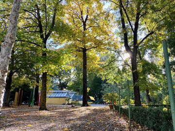 Botanical Garden of Florence