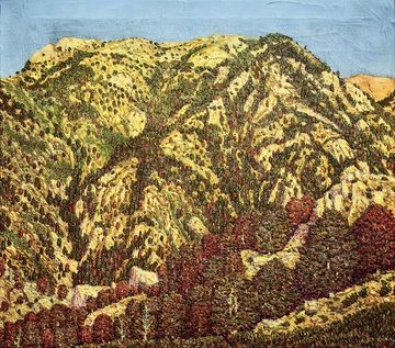 Marià Pidelaserra