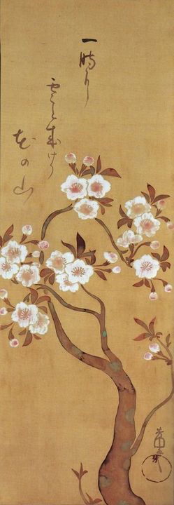 Nakamura Hochu
