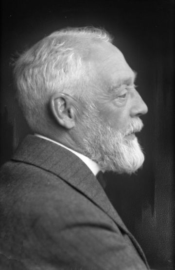 Carel Adolph Lion Cachet