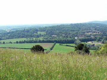 Surrey