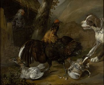 Jacob van Oolen