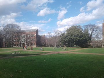Università Vanderbilt