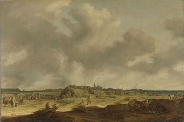 Pieter de Neyn